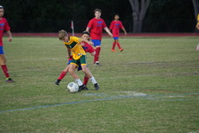 Enlarge photo 137