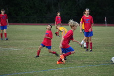 Enlarge photo 141