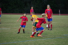 Enlarge photo 140