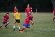 Enlarge photo 142
