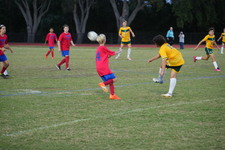 Enlarge photo 145