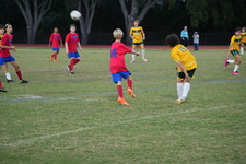 Enlarge photo 144