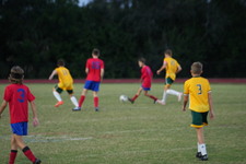 Enlarge photo 147