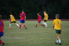Enlarge photo 148