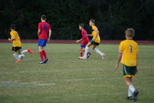 Enlarge photo 149