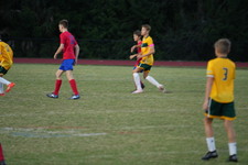 Enlarge photo 151