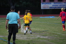 Enlarge photo 152