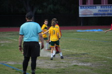 Enlarge photo 153