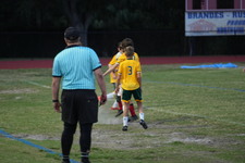 Enlarge photo 154