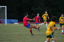 Enlarge photo 155