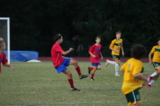 Enlarge photo 156