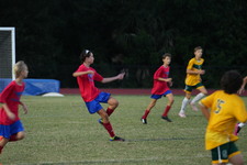 Enlarge photo 157
