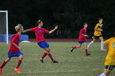 Enlarge photo 158