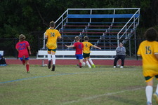 Enlarge photo 159
