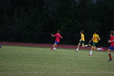 Enlarge photo 168