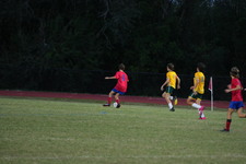 Enlarge photo 169