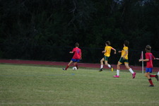 Enlarge photo 170