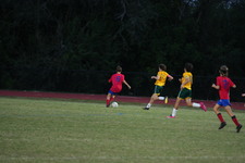 Enlarge photo 171