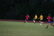 Enlarge photo 172