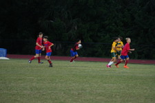 Enlarge photo 173