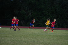 Enlarge photo 174