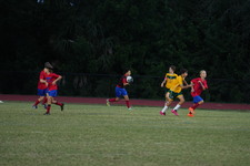 Enlarge photo 175