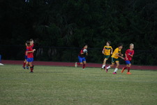 Enlarge photo 176