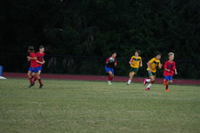 Enlarge photo 177