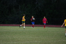 Enlarge photo 178