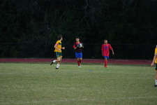Enlarge photo 179