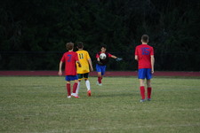 Enlarge photo 181