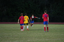 Enlarge photo 182