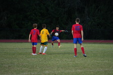 Enlarge photo 184