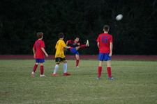 Enlarge photo 186