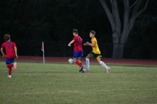 Enlarge photo 207
