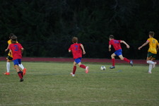 Enlarge photo 214