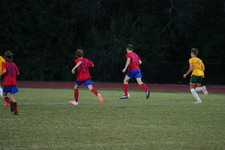 Enlarge photo 216