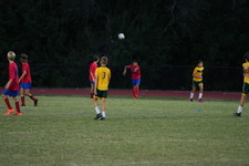 Enlarge photo 220
