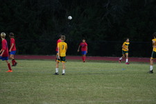 Enlarge photo 221