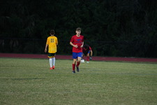 Enlarge photo 224