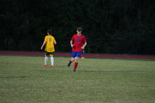 Enlarge photo 227