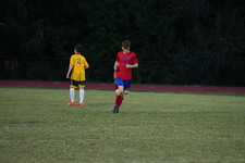 Enlarge photo 228
