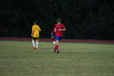 Enlarge photo 229