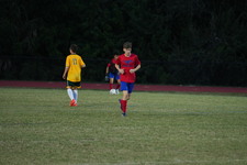 Enlarge photo 230