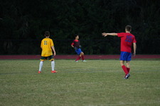Enlarge photo 234