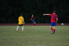Enlarge photo 236