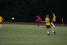 Enlarge photo 241