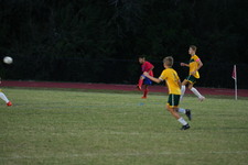 Enlarge photo 242