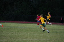 Enlarge photo 243