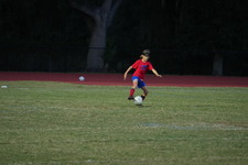 Enlarge photo 246